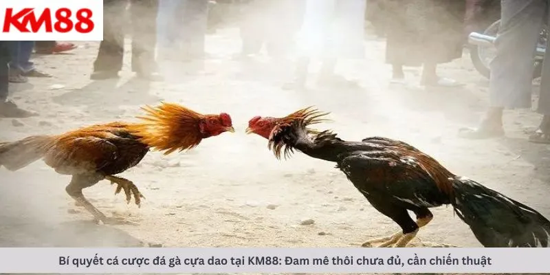 Bí quyết cá cược