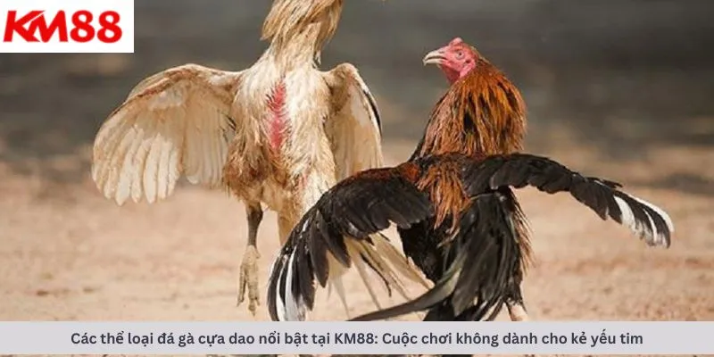 Các thể loại nổi bật