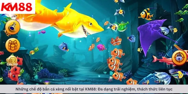 Các chế độ chơi nổi bật