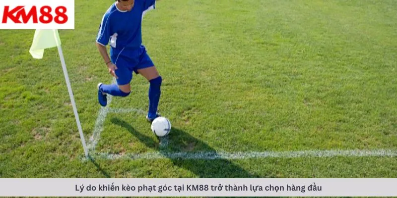 Lý do là lựa chọn hàng đầu