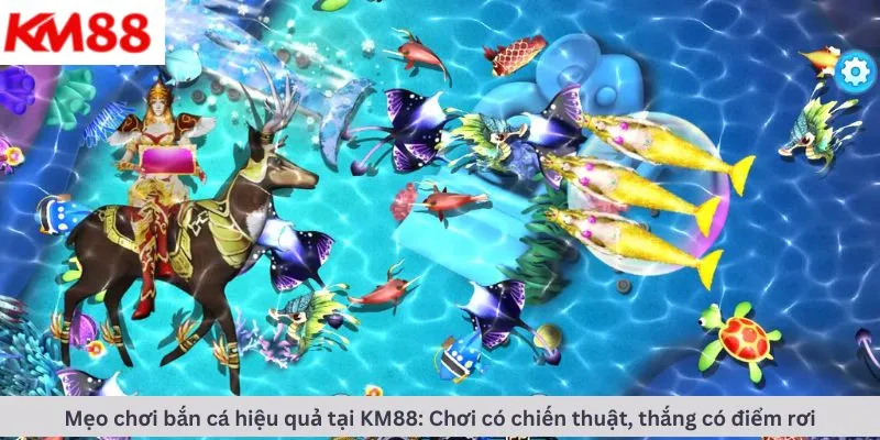 Mẹo chơi hiệu quả
