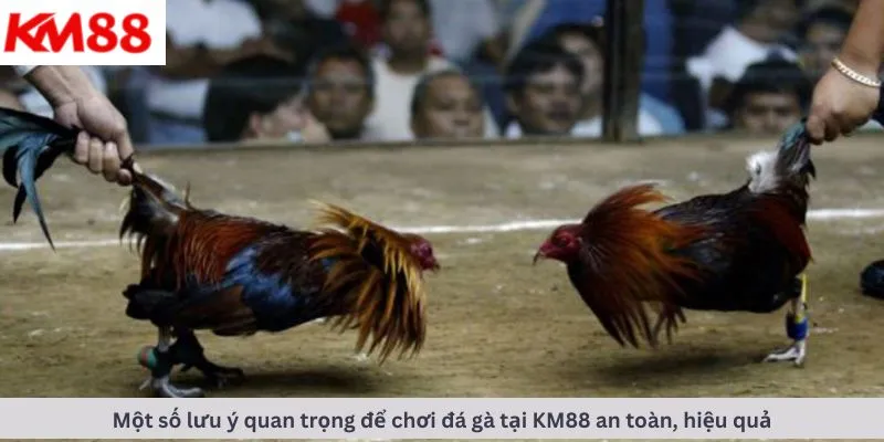 Một số lưu ý quan trọng