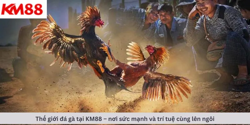 Thế giới đá gà